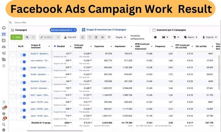 Facebook Ads Campaign Work Resut