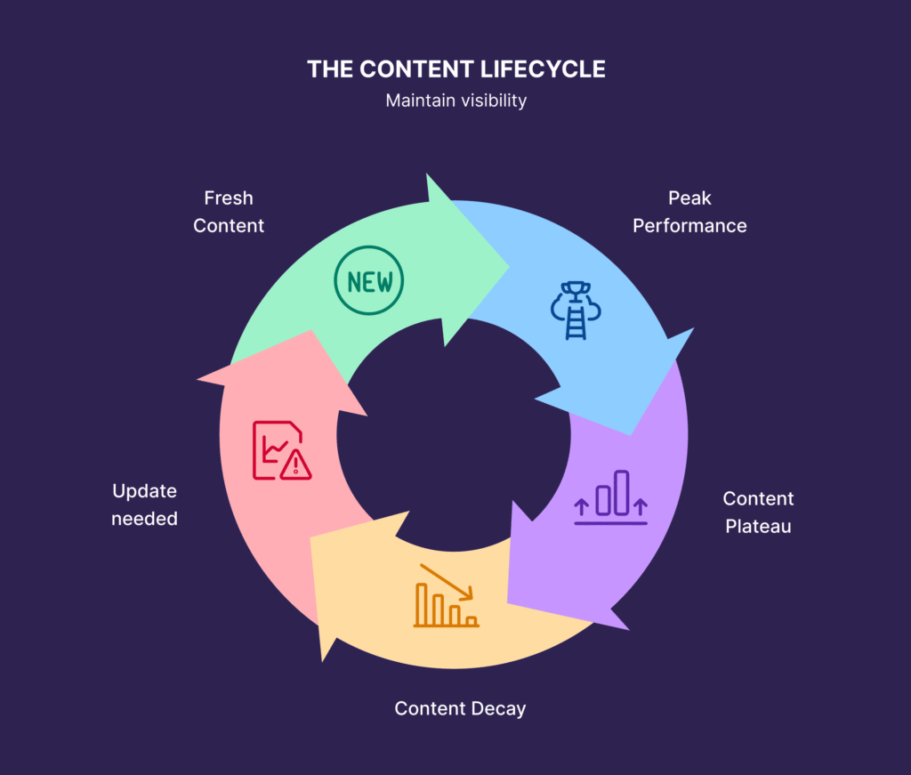 SEO Killer Marketing
