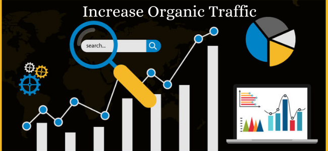 Organic Website Traffic