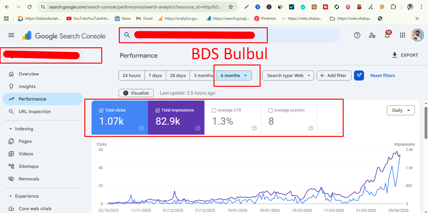 WordPress SEO Case Study