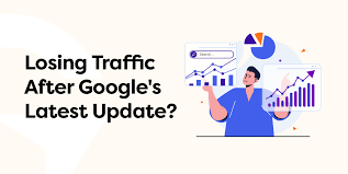 Website Dropped in Traffic After the Latest Update