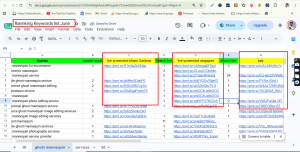 International E-Commerce SEO Case Study
