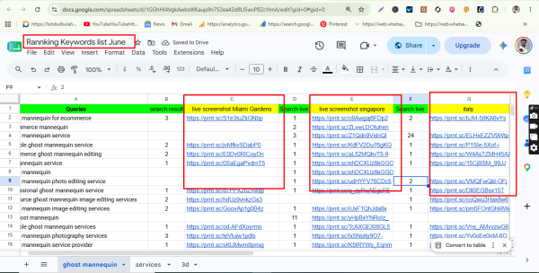 International E-Commerce SEO Case Study