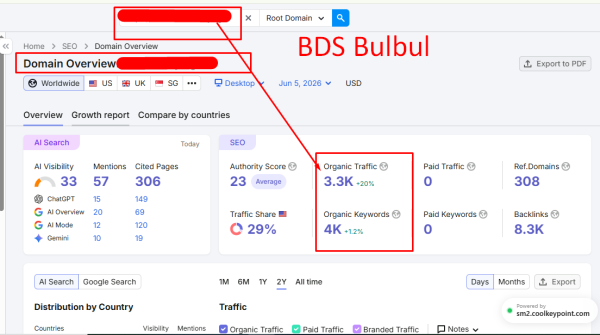 Google Search Console and AI Visibility
