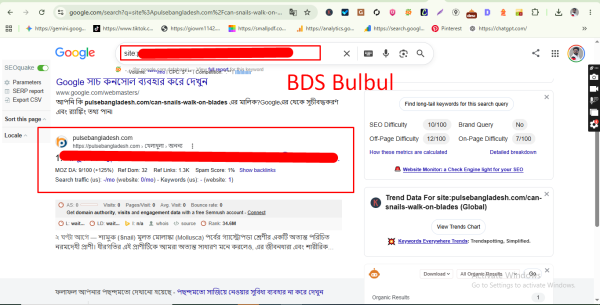 Google Instant Indexing Hack