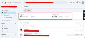 E-Commerce SEO Case Study