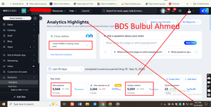 Wix Studio SEO Case Study