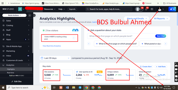 Wix Studio SEO Case Study